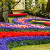 keukenhof 1