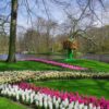 keukenhof-5136576_1920