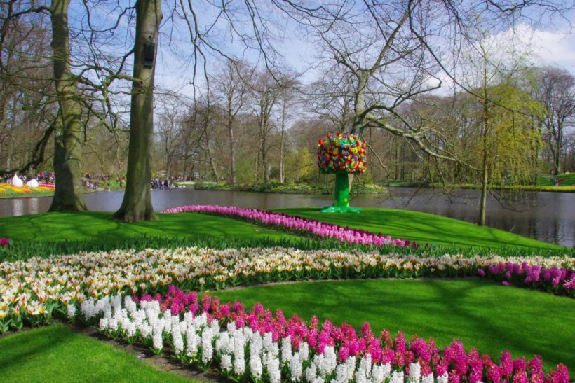 keukenhof-5136576_1920