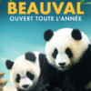 beauval 9